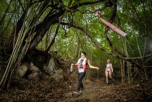 BIB: 
                            <button type="button" onclick="openModal(22178575)" class="btn btn-primary btn-sm float-right btn-popup" data-toggle="modal" data-target=".modal-high-quality">
                        <i class="fas fa-shopping-cart"></i> Add to Cart
                    </button>
                                            <button type="button" onclick="isThisMe(22178575, true)" class="btn btn-success btn-sm float-right btn-popup btn-isme hidden" data-toggle="tooltip" data-placement="bottom" title="นี่คือรูปของคุณใช่ไหม คลิกที่นี่เพื่อเอาเข้าอัลบั้ม">
                        <i class="fas fa-plus"></i> Add to album
                    </button>
                    <button type="button" onclick="isThisMe(22178575, false)" class="btn btn-warning btn-sm float-right btn-popup btn-isnotme hidden">
                        <i class="fas fa-ban"></i> Remove from album
                    </button>